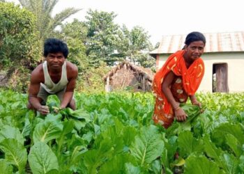 Far from the pangs of everyday-life