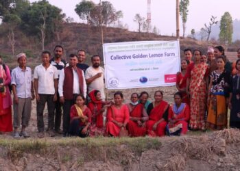 The power of collective agricultural and livestock farming