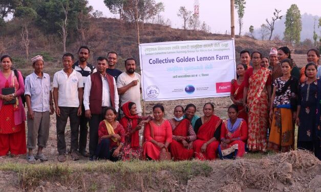 The power of collective agricultural and livestock farming