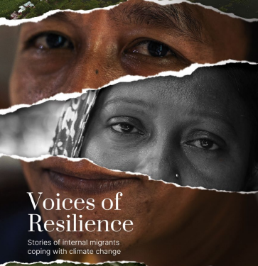 Voices of Resilience