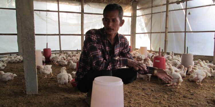 Living in my own income