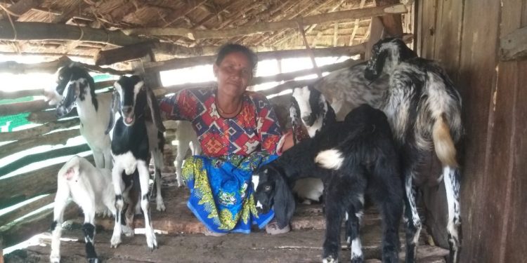 Sita Pariyar Witnessed the Power of Self-Help Group