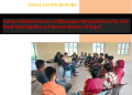 Labour Market Survey in Bharatpur & Madi Municipality 