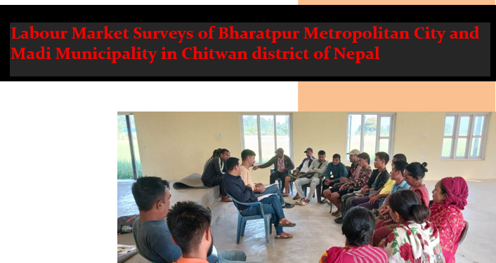 Labour Market Survey in Bharatpur & Madi Municipality 